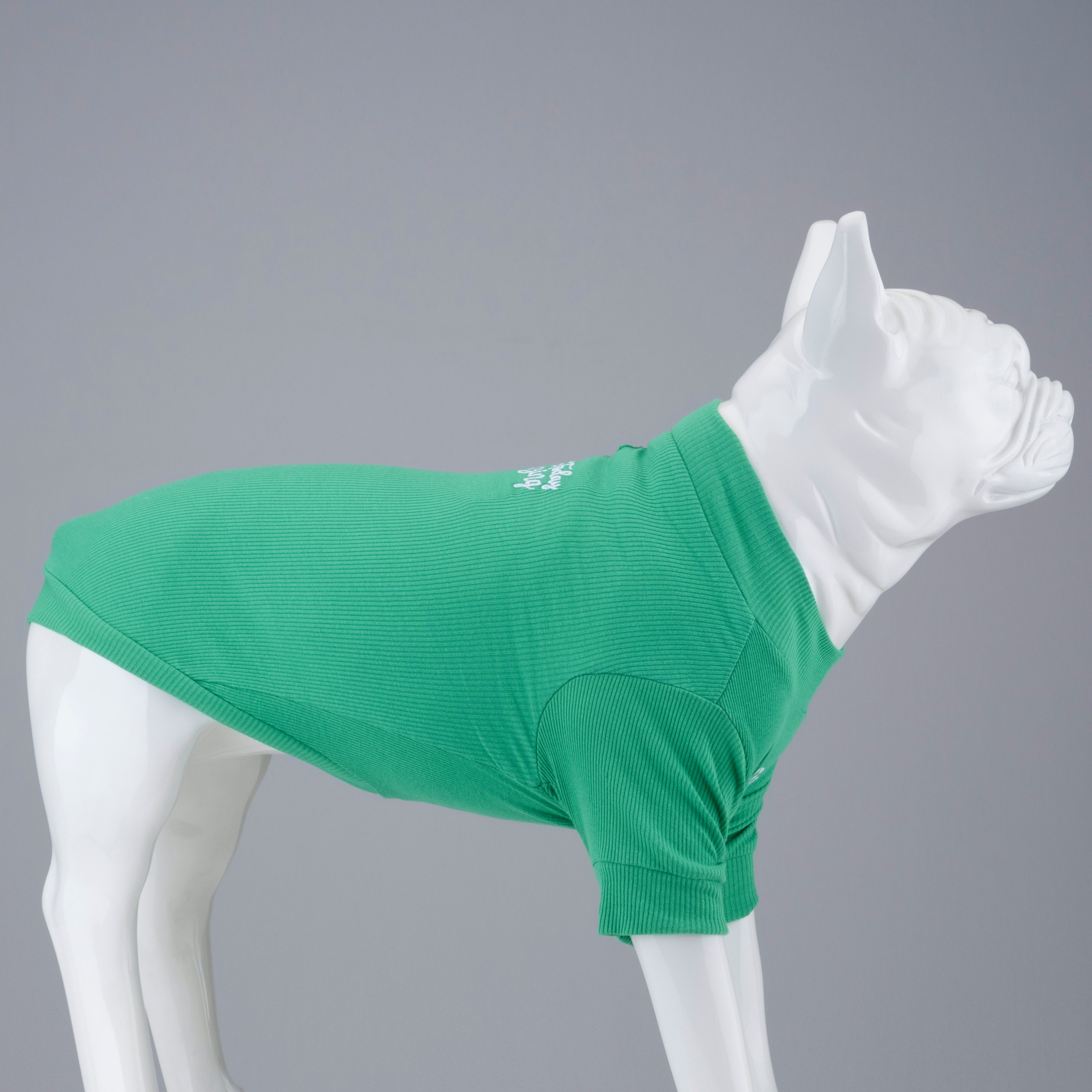 Lindo Dogs Make Today Amazing Köpek Kıyafeti Tshirt